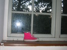 img 4205v