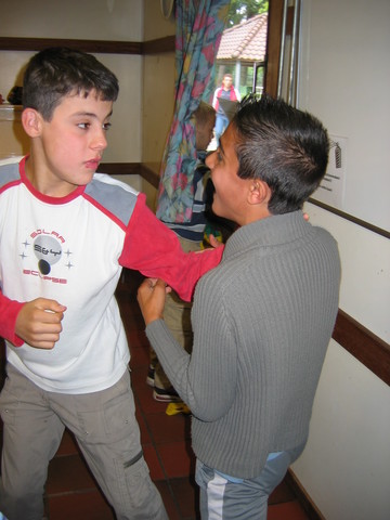 img 4235v