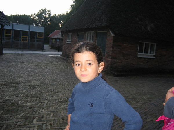 img 4624