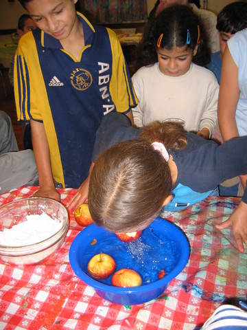 img 5096v