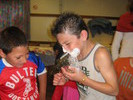 img 5121v