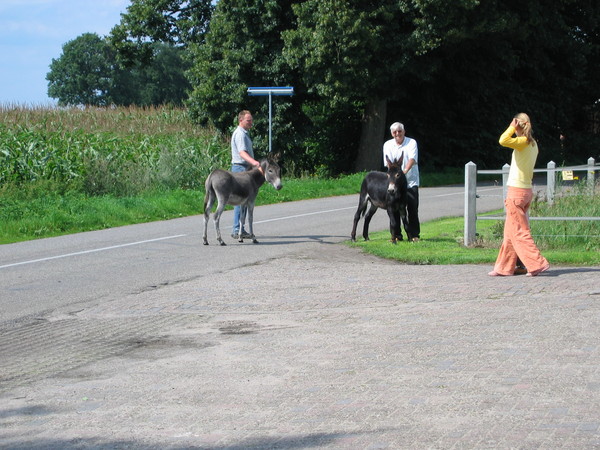 img 5477
