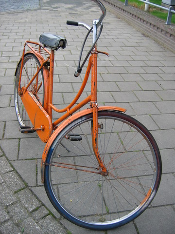 img 5504v
