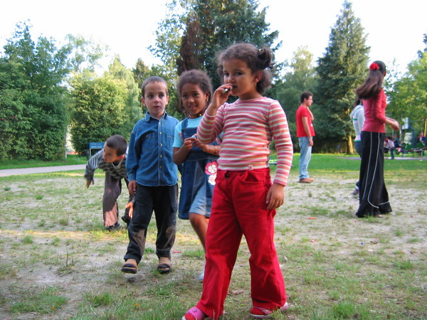 img 5733
