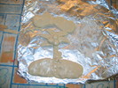 img 5857