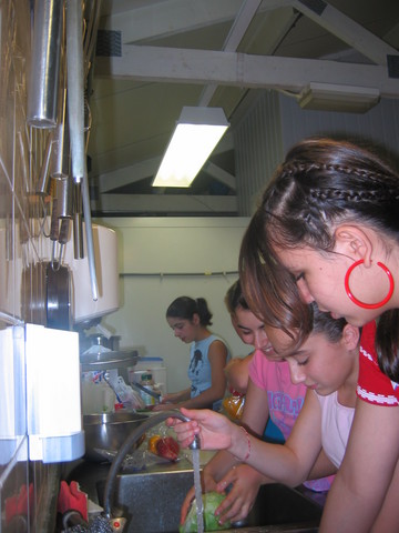 img 5955v
