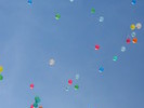 img 6323v