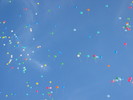 img 6324