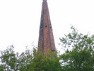 img 6384v