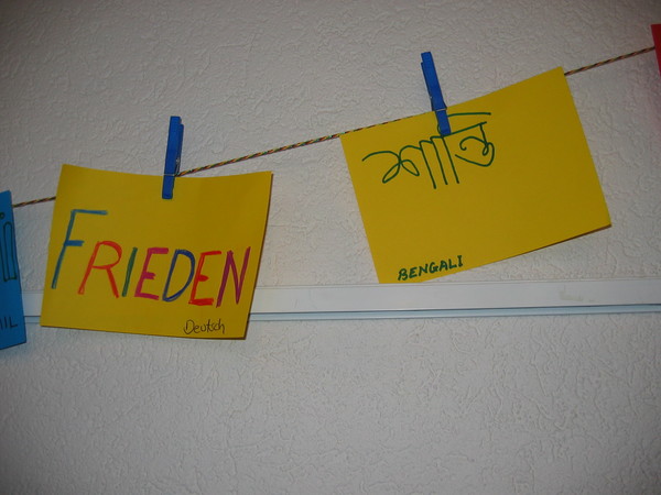 img 6472