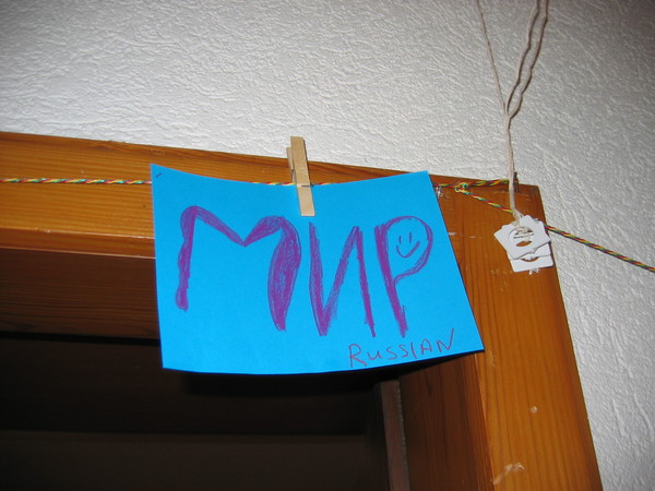 img 6547