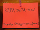 img 6564