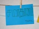 img 6568