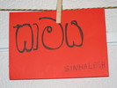 img 6570