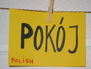 img 6571