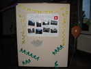 img 6583