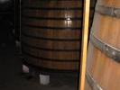 IMG 6294