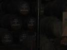 IMG 6295
