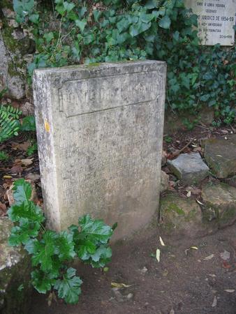 IMG 6322
