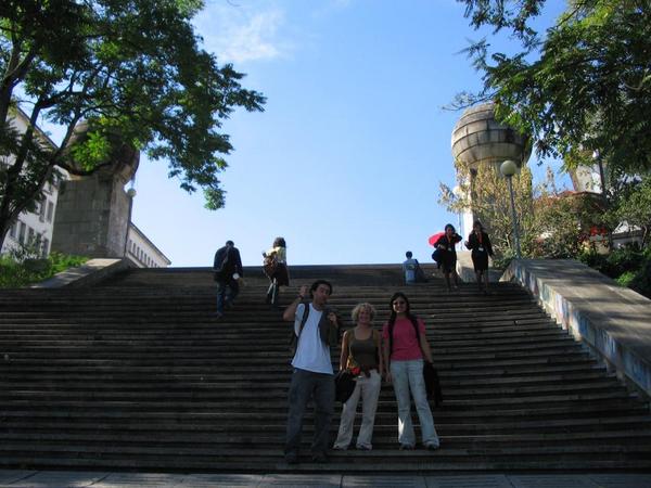IMG 6335
