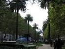 IMG 6378