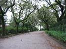 IMG 6401