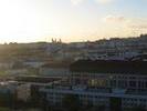 IMG 6421