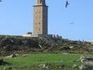 IMG 6429