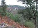 IMG 6459
