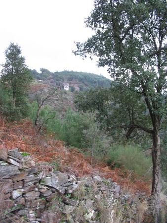 IMG 6459