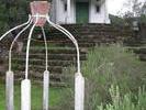 IMG 6469