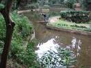 IMG 6482