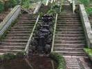 IMG 6486