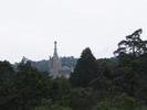 IMG 6489