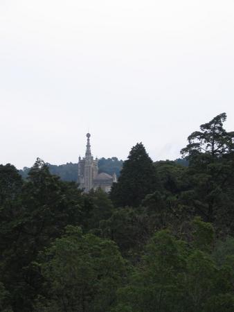 IMG 6489