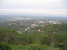 IMG 6499