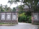 IMG 6501