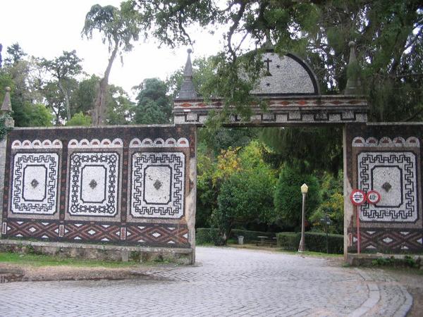 IMG 6501
