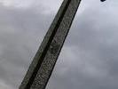 IMG 6503