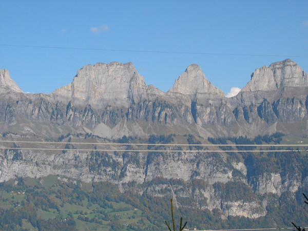 img 6909