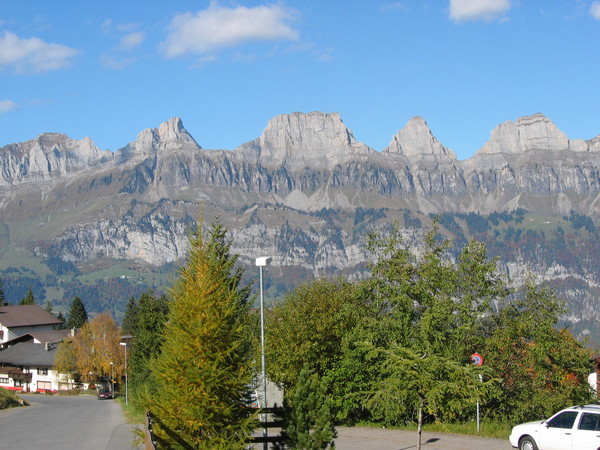 img 7161