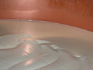 img 7260