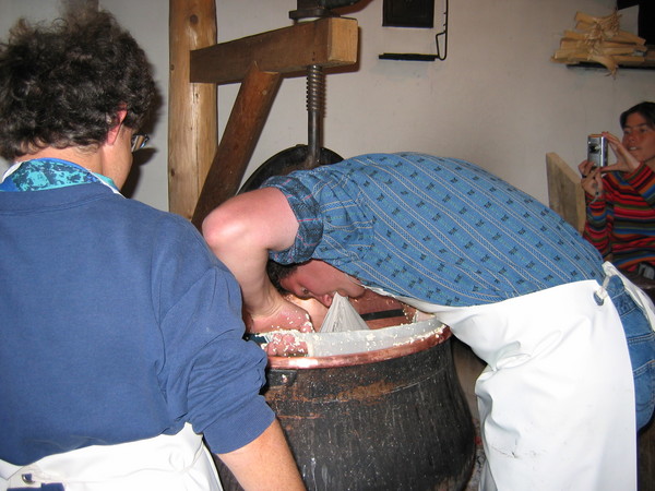 img 7281