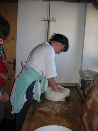img 7282v