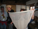 img 7285