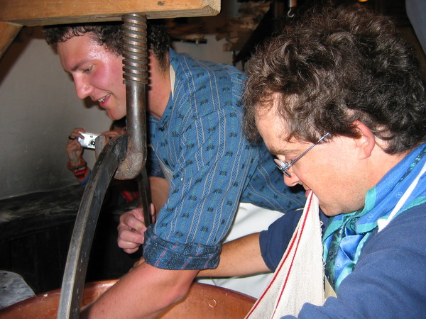 img 7287
