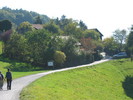 img 6992