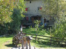 img 6994v