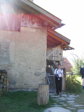 img 7004v
