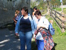img 7011v
